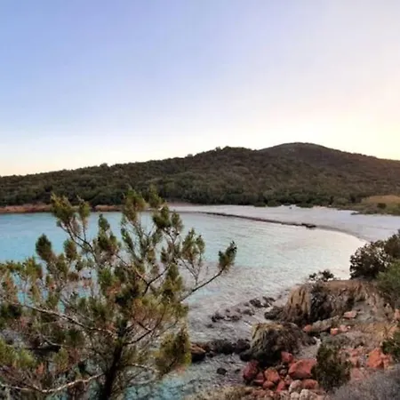 ヴィラ Bergerie #casa Di Petra A Palombaggia Avec Piscine *