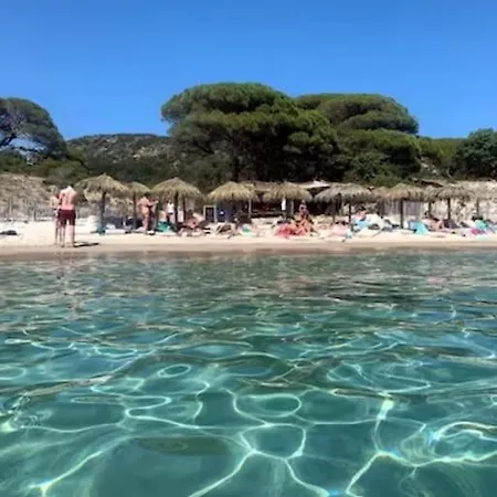 Bergerie #casa Di Petra à Palombaggia Avec Piscine