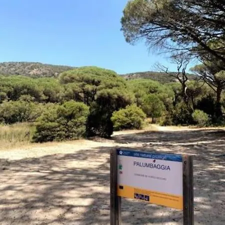 Bergerie #casa Di Petra A Palombaggia Avec Piscine Villa *