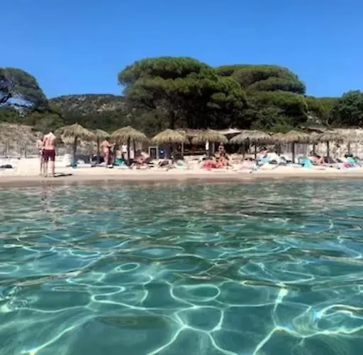 Bergerie #casa Di Petra à Palombaggia Avec Piscine